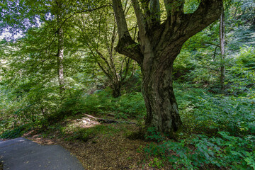 Way of the Narts in Nalchik, Kabardino-Balkaria, Russia.