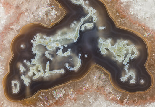 Macro photograph of the structural detail in a moss agate