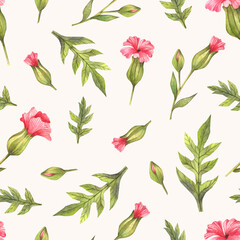 seamless pattern with pink flowers