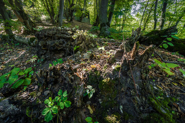 Way of the Narts in Nalchik, Kabardino-Balkaria, Russia.