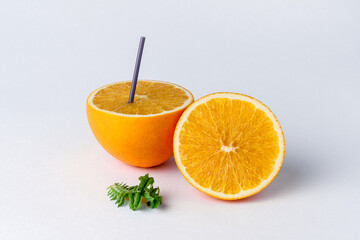 Two slices of orange orange and a green twig