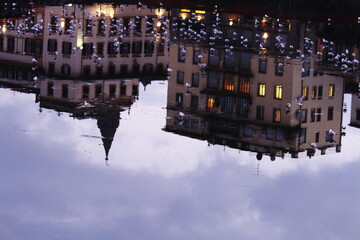 reflection of biuldings on frozen Arno river and seagulls that walking on it