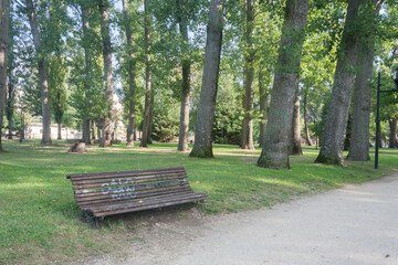 bench under a tree in the Park