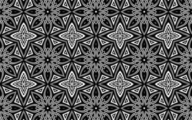 Ethnic black white indian pattern in doodling style. Unique geometric texture with abstract beautiful flowers for coloring book, wallpaper, textile.