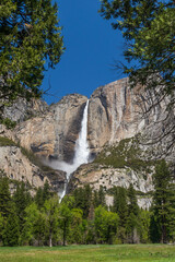 Yosemite Falls, Yosemite National Park, California, USA 

