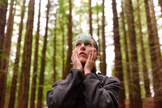 Low angle of stylish female traveler standing in Monte Cabezon Natural Monument of Sequoias and admiring magnificent large trees during vacation