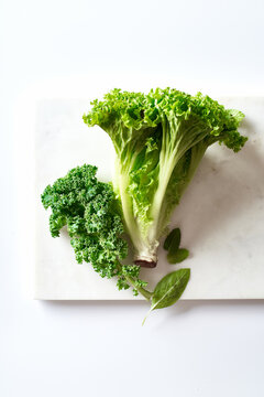 Lollo bionda lettuce on white background