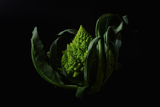 Romanesco broccoli cabbage on black background