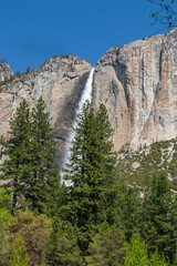 Yosemite Falls, Yosemite National Park, California, USA 
