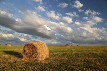 Rural landscape with field and haystacks during sunset