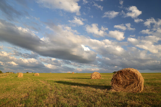 Rural landscape with field and haystacks during sunset