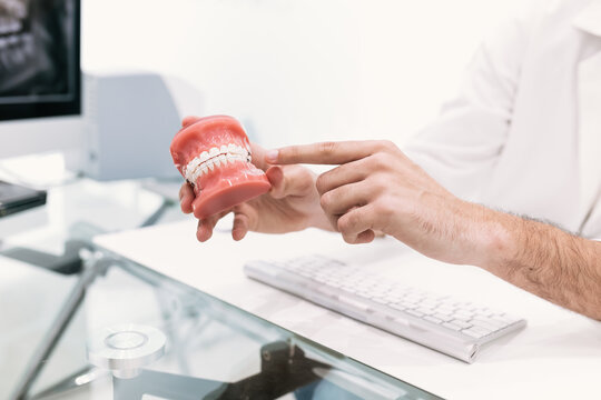 Dentist's Hand with Aesthetic Orthodontics