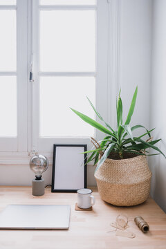 Laptop and cup of coffee placed on wooden table with green houseplant in bright home office