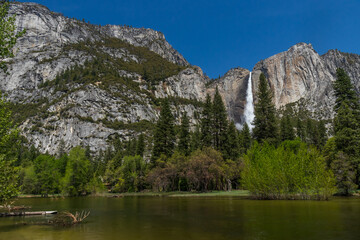 Fototapeta na wymiar Yosemite Falls, Yosemite National Park, California