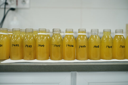 Row of glass bottles with yellow chemical liquid placed on table in laboratory for conducting experiments