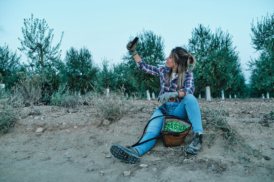 Positive adult female farmer sitting on ground near bag with freshly harvested green olives and taking selfie on mobile phone - Powered by Adobe