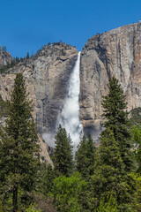 Fototapeta na wymiar Yosemite Falls, Yosemite National Park, California 