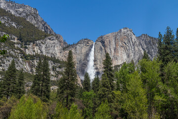 Yosemite Falls, Yosemite National Park, California
