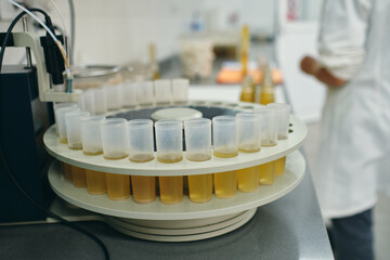 Set of yellow chemical substance in tubes placed on table for scientific research in modern laboratory