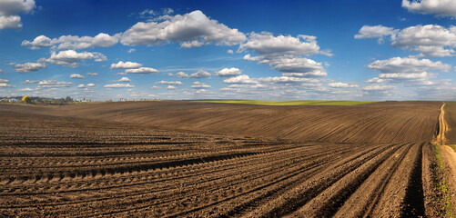 panorama of a plowed field prepared for sowing and a line of rows, beautiful blue sky with clouds
