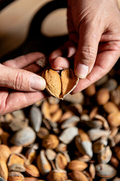 From above crop anonymous person holding in hands opened nutshell with kernel in it against heap of almonds