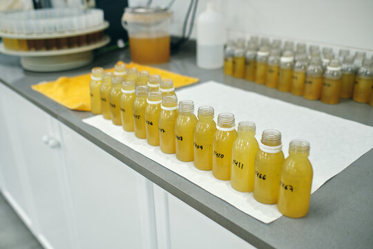 High angle of row of glass bottles with yellow chemical liquid placed on table in laboratory for conducting experiments