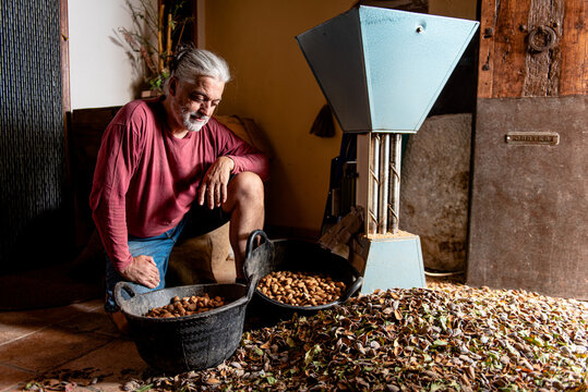 Serious farmer going down on one knee and holding handful of nuts over bucket with almonds and heap of shells on floor