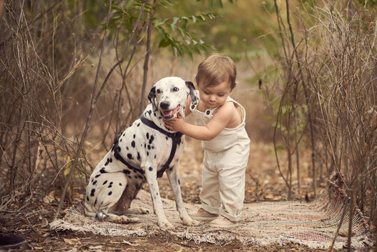 Side view full body of adorable toddler in overall standing petting Dalmatian dog near tall plants while smiling and looking away