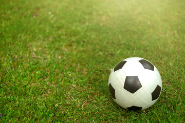 Soccer ball on a green field, place for text