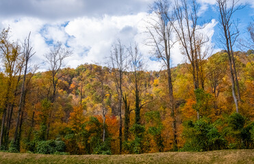 Fall color Skyline Drive Virginia