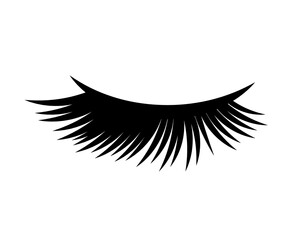 Long eyelashes on a white background. Symbol. Vector illustration.