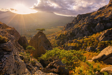 Obraz na płótnie Canvas Autumn beech forest. Mountain range Demerdzhi, the Republic of Crimea.