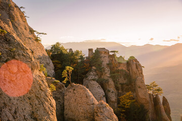Autumn beech forest. Mountain range Demerdzhi, the Republic of Crimea.