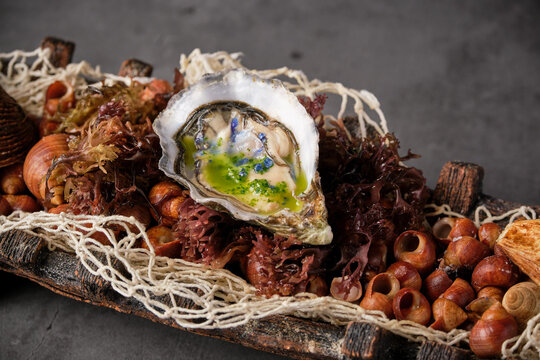 Closeup of palatable oyster in shell served in plate with various seafood ingredients in Asian restaurant
