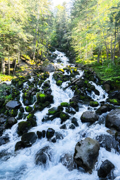 Spectacular scenery of rapid river cascade flow Uelhs deth Joeu surrounded by mossy rocks in mountainous forest in Val d'Aran, Catalonia in Spain