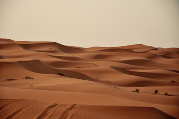 Copper sand dunes in the desert at the sunrise with a smooth silky texture seen from above, creating many waves until the horizon 