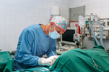 Veterinary surgeon performing a surgical procedure on a dog