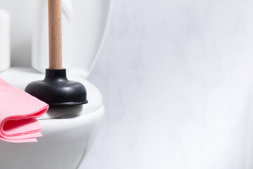 Suction cup on toilet bowl with copyspace.