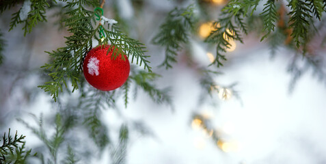 Shiny red Christmas ball on a snow-covered branch of pine thuja spruce, garland in bokeh. Christmas background, christmas background, banner, copy space