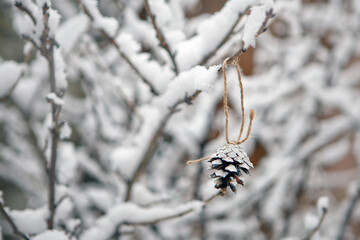 branches with snow and christmas tree cones. winter background and nature