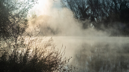Foggy landscape river shore growing on quiet water on a winter forest landscape