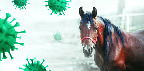 Coronavirus (Covid-19) patients to be treated with horse antibodies in experimental trial
