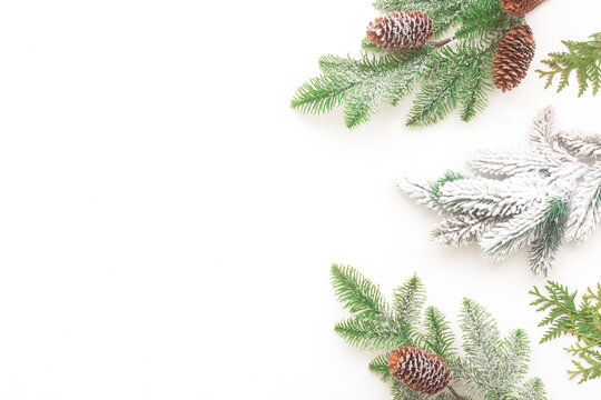 Christmas tree branches on white background, flat lay, top view