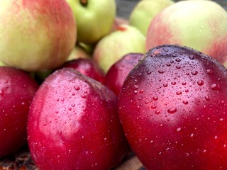 Frutas vermelhas Ameixa e pêssego 