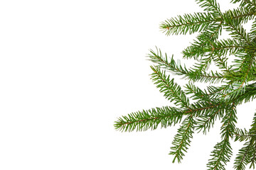 Christmas Evergreen Border with a branch of fir