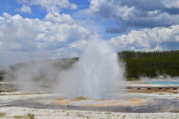Yellowstone National Park