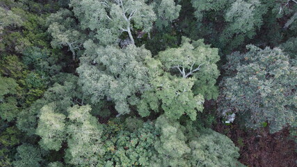 green moss on a rock