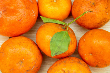 winter tangerines, orange color background