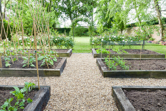 Gravel Garden Path In A Vegetable Patch, England, UK