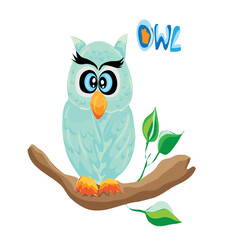 owl sitting on a branch